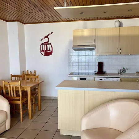 Appartement 2 Pieces Avec Balcon Expose Sud, Proche Telesiege Et Commerces, Vieil Alpe - Fr-1-405-216